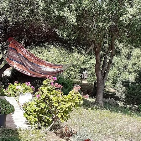 Gli Olivastri Raggio Di Sole , Con Piscina E Vista Mare ,climatizzatore,wifi 펜션 아글리엔투
