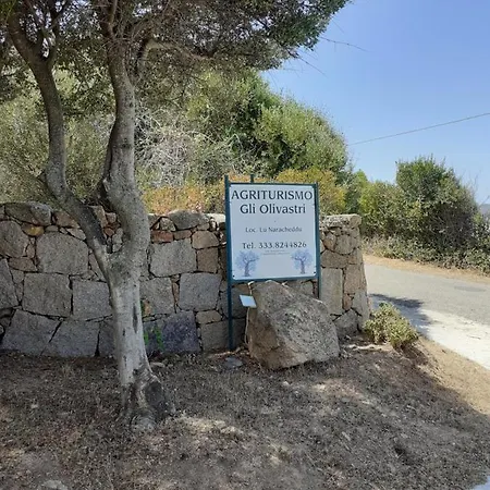 Gli Olivastri Raggio Di Sole , Con Piscina E Vista Mare ,climatizzatore,wifi