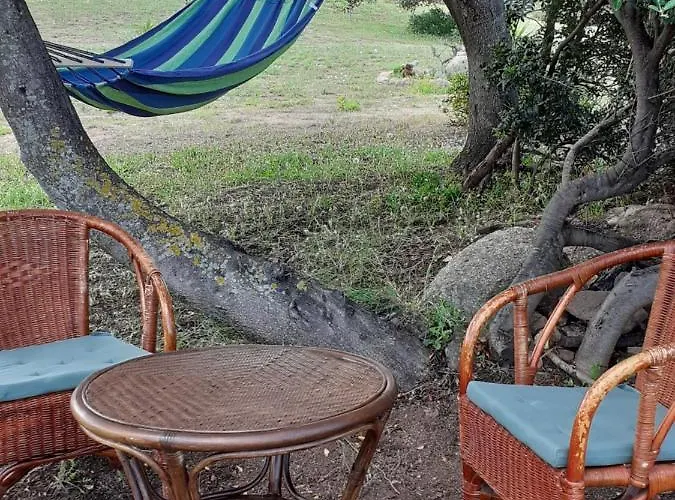 Gli Olivastri Raggio Di Sole , Con Piscina E Vista Mare ,climatizzatore,wifi Tatil Evi *