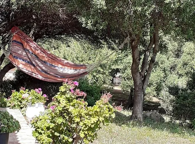 Gli Olivastri Raggio Di Sole , Con Piscina E Vista Mare ,climatizzatore,wifi Tatil Evi Aglientu